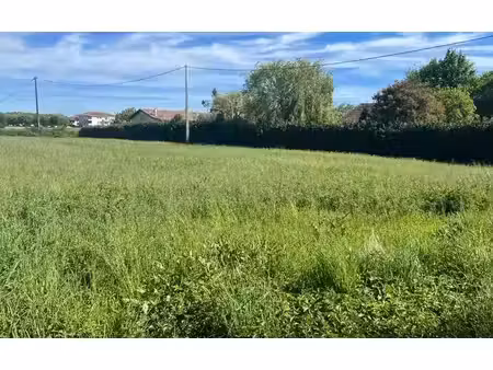 terrain