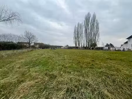 terrain