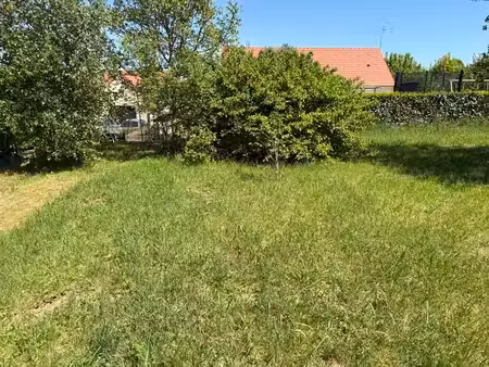 terrain
