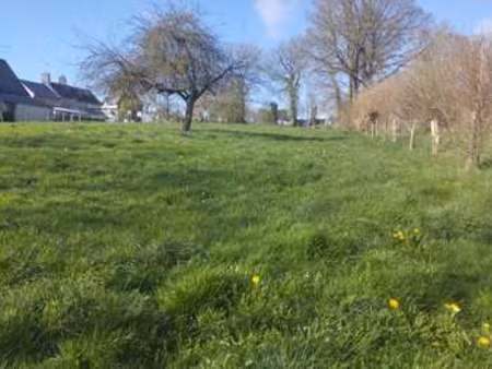 vente terrain à granville (50400) : à vendre / 2100m² granville