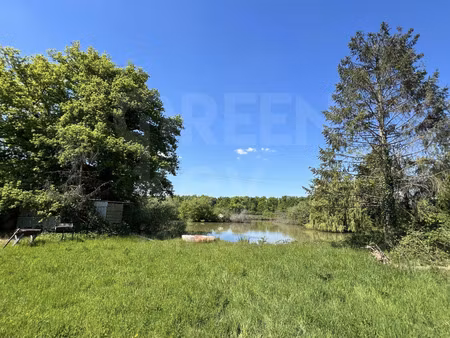 lavau (89170) - maison 5 pièces 156 75 m2 - 6000 m2 de terra