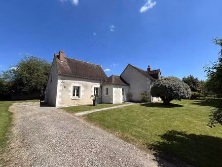 vente maison 6 pièces 200 m² manthelan (37240)