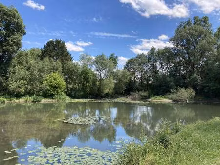 vente terrain 4000 m² reignac-sur-indre (37310)