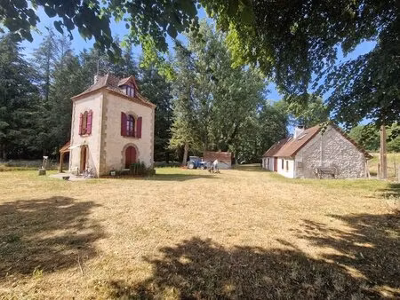 la belle  sa tour et son etang sur parcelle 12 hectares -