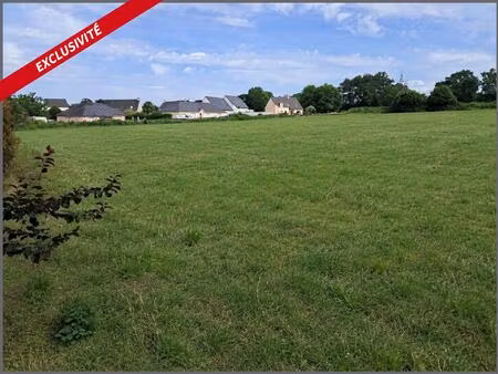 terrain constructible d'environ 1 005 m² à chauvigné – libre de constructeur