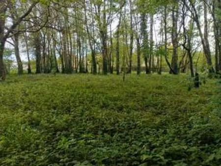 vente terrain au faouët (56320) : à vendre / 2174m² le faouët