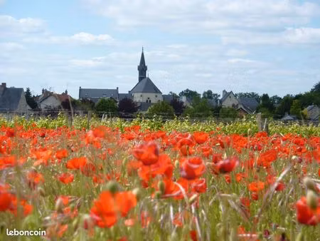 vignes et terres en aoc chinon