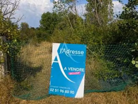 vente terrain aux sables-d'olonne (85100) : à vendre / 1617m² les sables-d'olonne