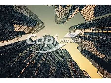vente local d’activités mulhouse 68100 697m²