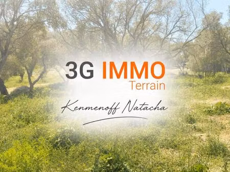 terrain constructible