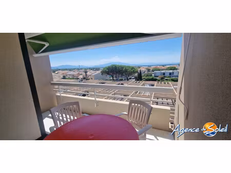 beau t1-cabine avec belle terrasse vue canigou