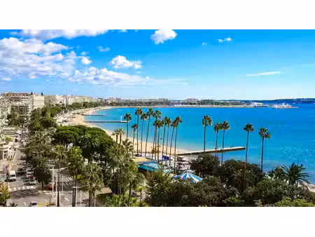 location commerce cannes 06400 18m²