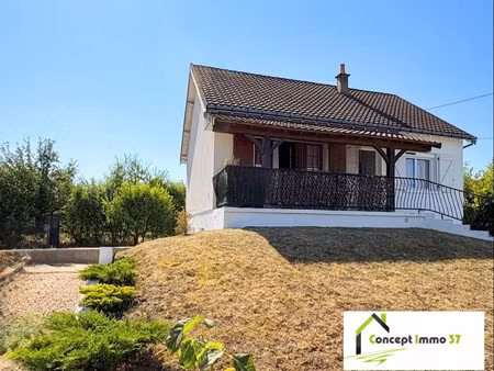 charmante maison avec jardin à esvres