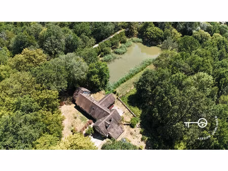 volumes  lumière et nature : une propriété singulière aux portes de la sologne