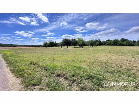 terrain constructible plat au calme