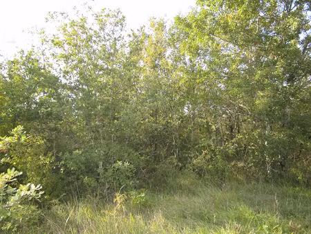 achat terrain 41 270m²