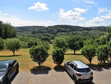 appartement lumineux 3 pièces à moyenmoutier