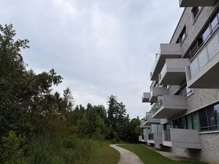 appartement te huur in edegem met 2 slaapkamers