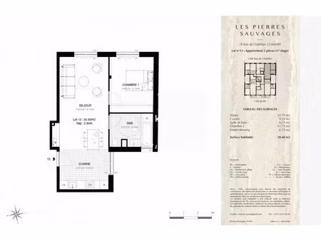 2 pièces de 51 m2 - pièce de vie 32 m2