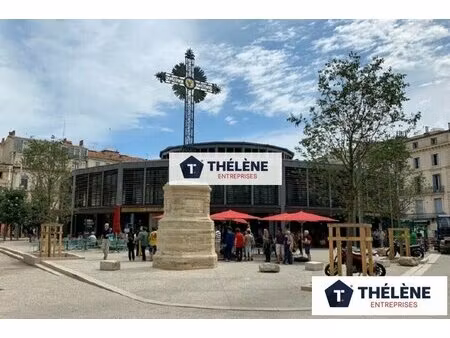 achat local professionnel 180m² montpellier 34000