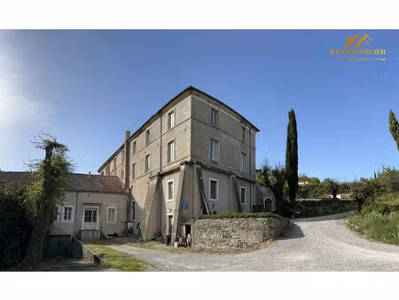 achat immeuble 1 238m² coux 07000