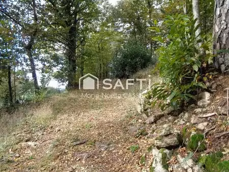 vente terrain 10437 m² vernoux-en-vivarais (07240)