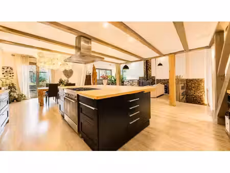 achat appartement 12 pièces 472m² chens sur leman 74140