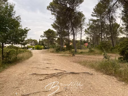 achat terrain 19 880m² belcodene 13720