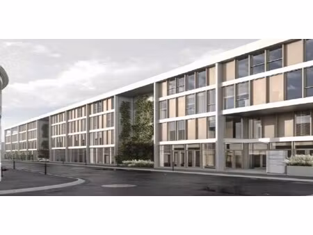 location local professionnel 2 350m²