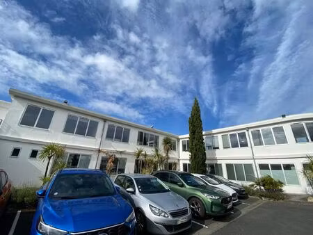 location local professionnel 440m²