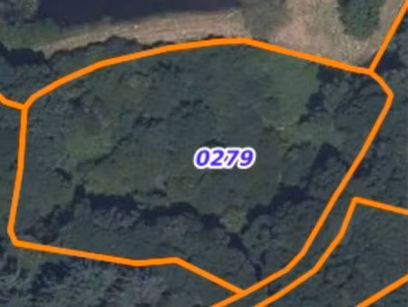 terrain de loisirs 5 172 m² – prairie  bois  sources – arpheuilles-saint-priest (03)