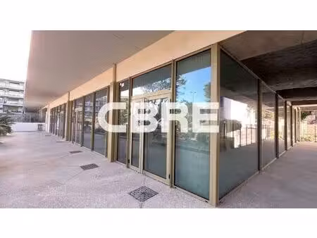 location local professionnel 238m²