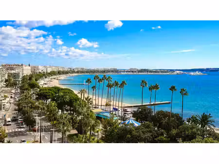 location local commercial 18m² cannes 06400