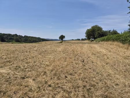 achat terrain 2 592m² brassy 58140