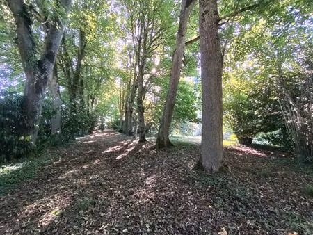 achat maison 10 pièces 420m² cosne cours sur loire 58200
