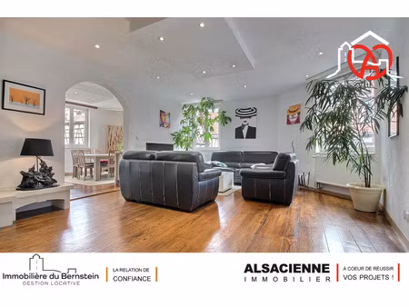 achat appartement 6 pièces 166m² barr 67140