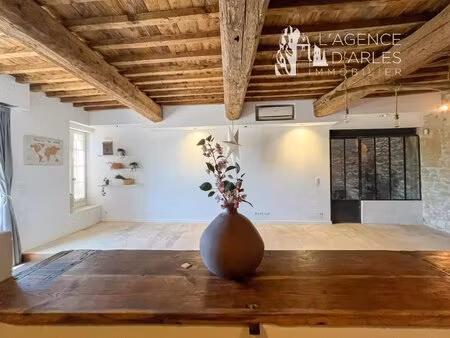 arles la roquette – maison de caractère face au rhône avec terrasse