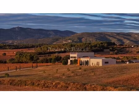 domaine viticole montpeyroux
