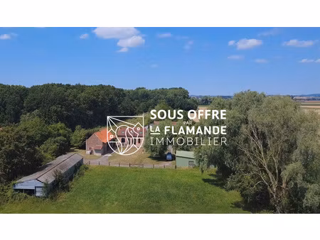 achat maison 4 pièces 120m² vieux berquin 59232