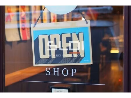 location commerce lyon 69009 978m²