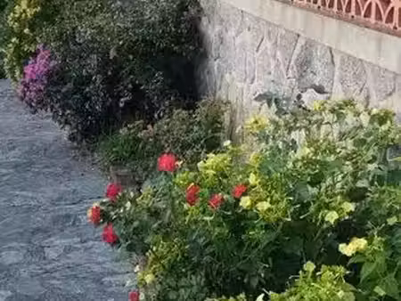 location maison 4 pièces 150 m² à petreto-bicchisano (20140)