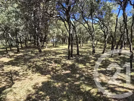 terrain à vendre - 1000 m2 - sommieres - 30 - languedoc-roussillon