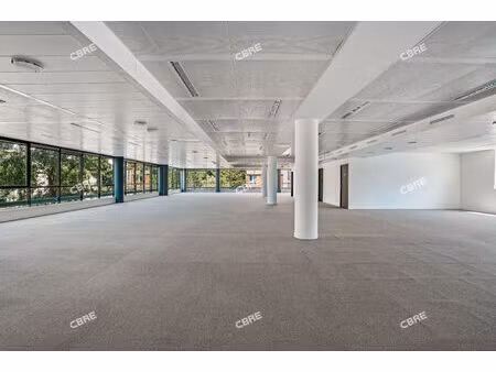 location local professionnel 1 509m²