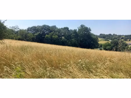vente terrain 1500 m² rieumes (31370)
