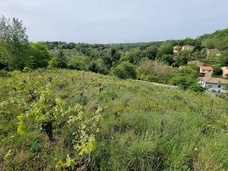 vente terrain 1000 m² castanet-tolosan (31320)