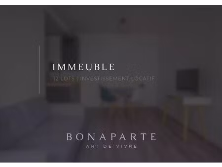 quartier tribunal - immeuble 12 lots - 379m2