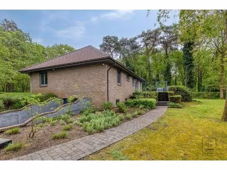 huis te koop in kapellen met 4 slaapkamers