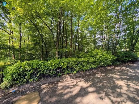 terrain à vendre à allée des chênes 874.2 roly (vbe44986)