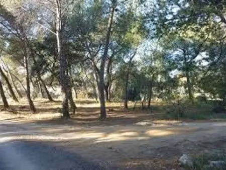 vente terrain 654 m² parentis-en-born (40160)