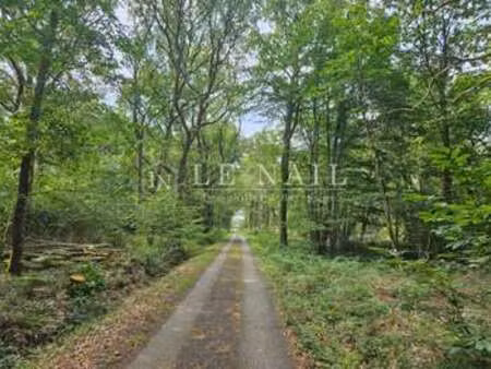 vente bois  forêt et étang à château-gontier (53200) : à vendre / 617516m² château-gontier